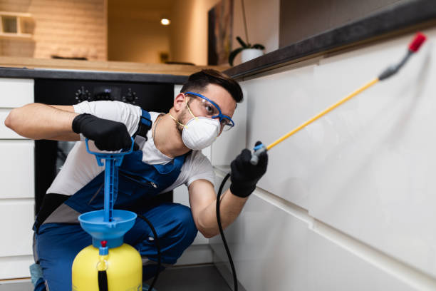 Best Rat Extermination Near Me  in Foscoe, NC