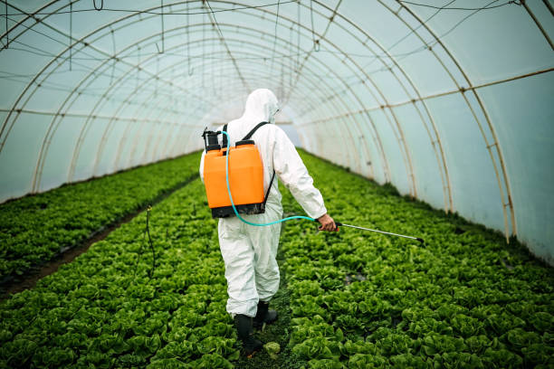 Best Emergency Pest Control  in Foscoe, NC