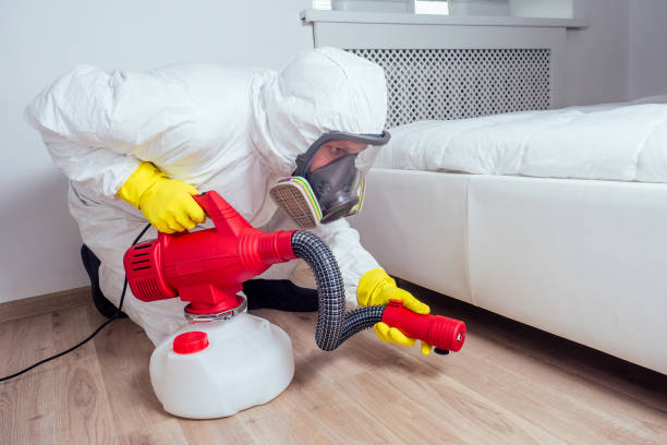 Best Termite Control Services  in Foscoe, NC