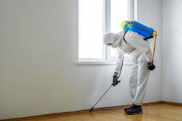 Best Affordable Pest Control Services  in Foscoe, NC