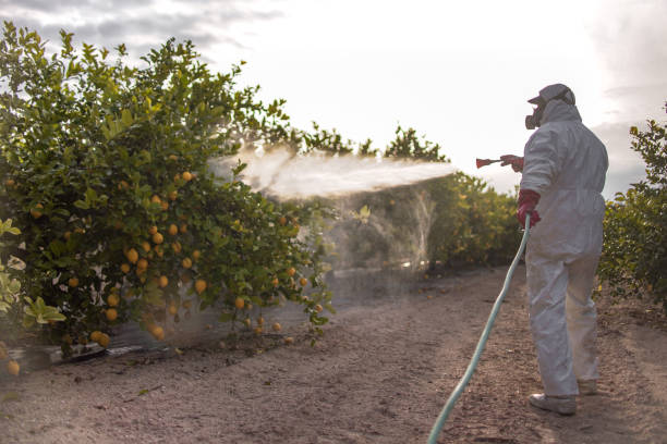 Best Commercial Pest Control Services  in Foscoe, NC