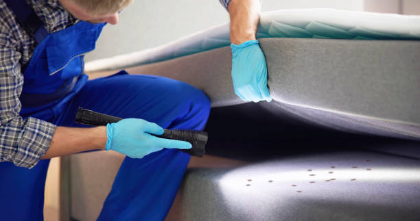Best Exterminator Services  in Foscoe, NC