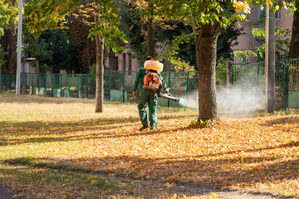 Best Cockroach Control Services  in Foscoe, NC