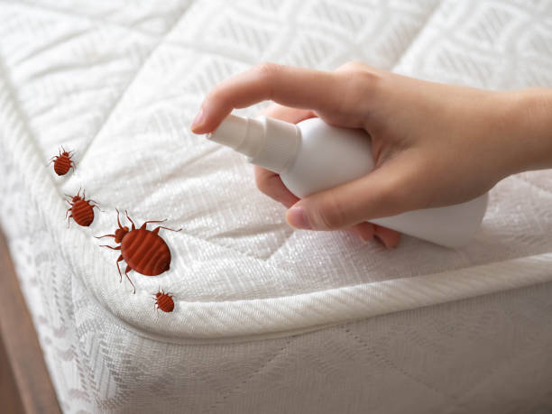 Best Best Pest Control Companies  in Foscoe, NC