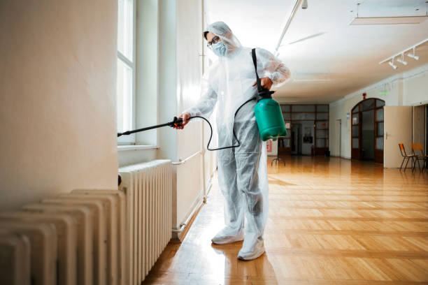 Best Cockroach Control Services  in Foscoe, NC
